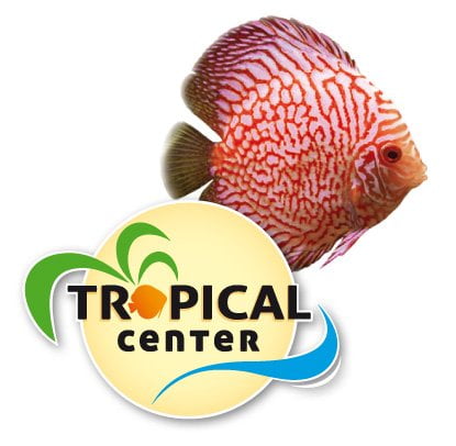 Discos Tropical Center