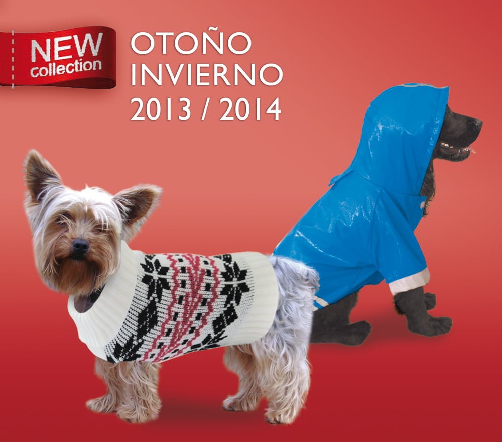 Nuevos sweaters y chubasqueros para perros