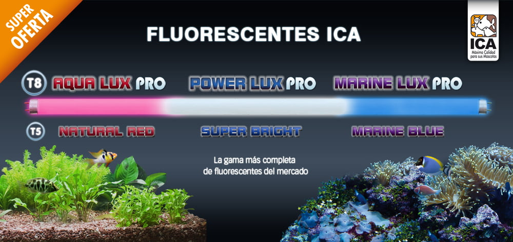 Expositor de Fluorescentes ICA