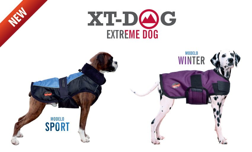 Nuevos XT-Dog ¡Ropas extreme para perros!