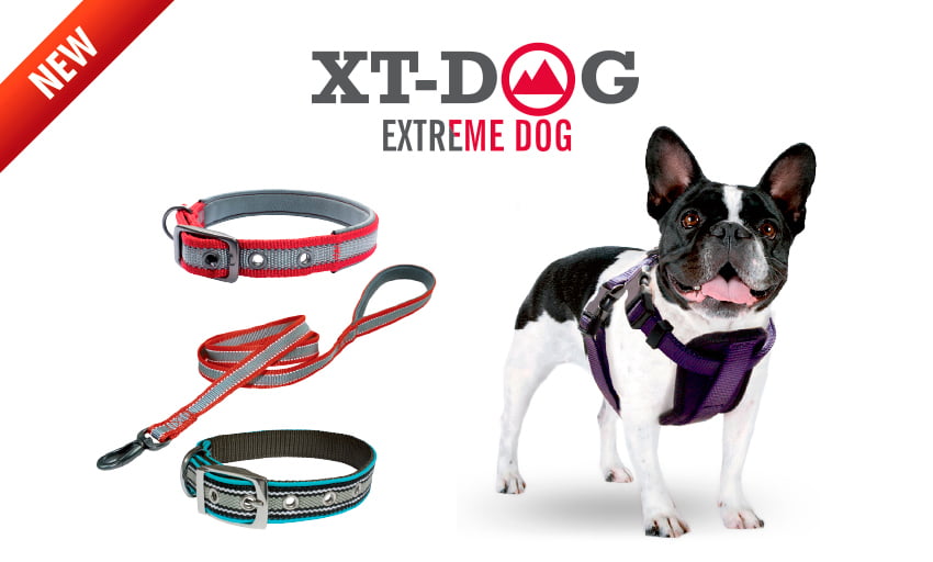 Nuevas correas, collares y arneses XT-DOG