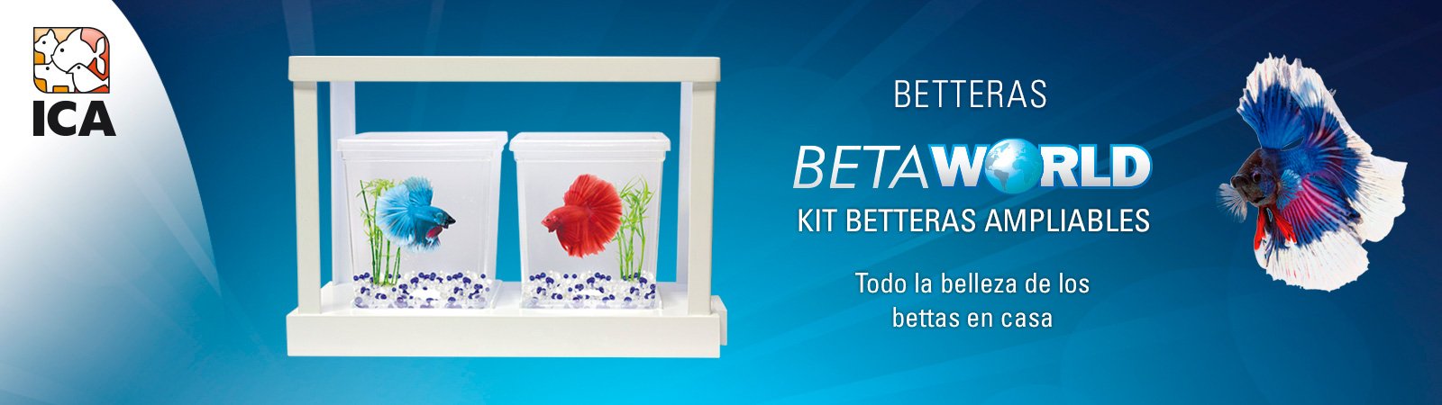 BetaWorld KIT