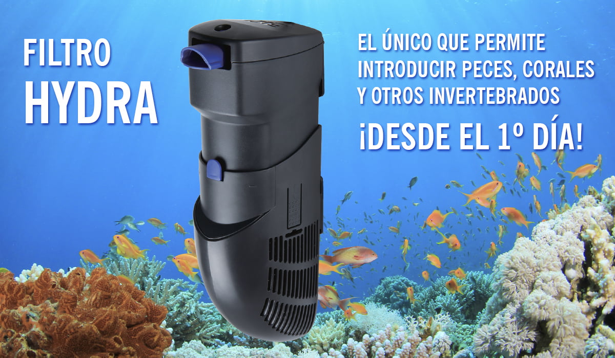 Aspirador fondo acuario Profesional alta tecnología (4 en 1)