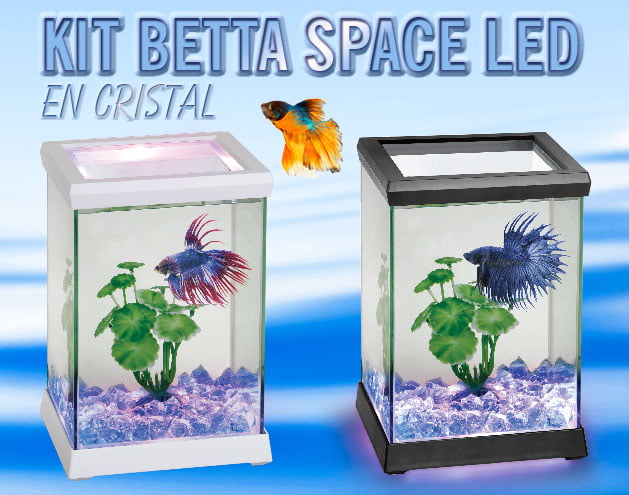 KIT BETTA SPACE LED