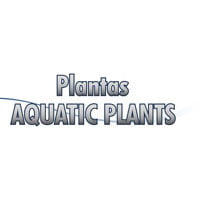 Aquatic Plants