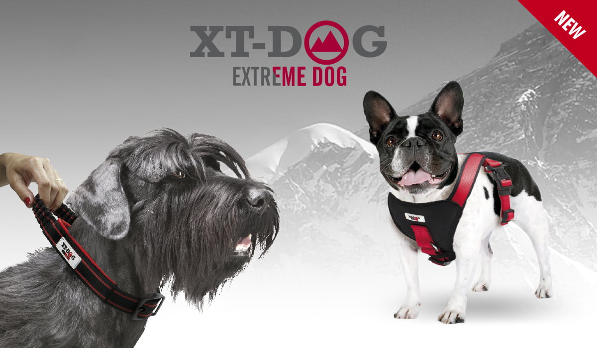 Collares, correas y arneses XT-DOG