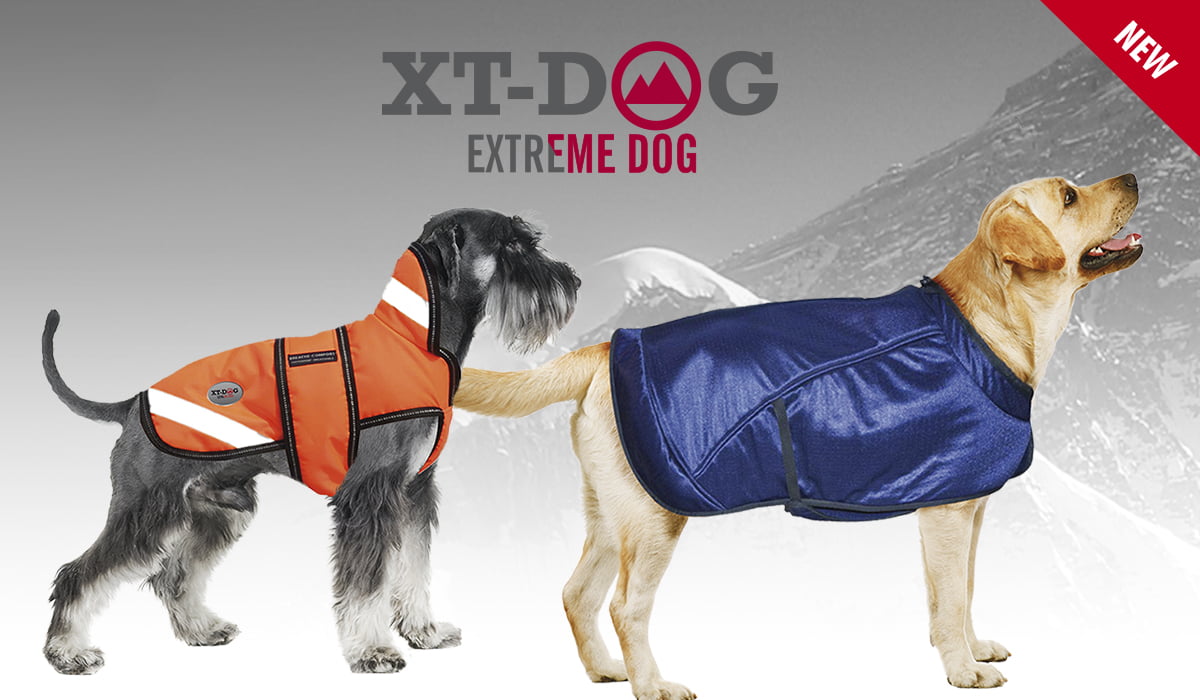 XT-DOG Ropa Deportiva