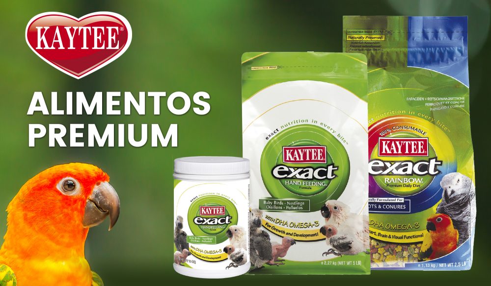 Intacto micrófono Ver insectos Kaytee Exact: Alimentos para loros - icaNews