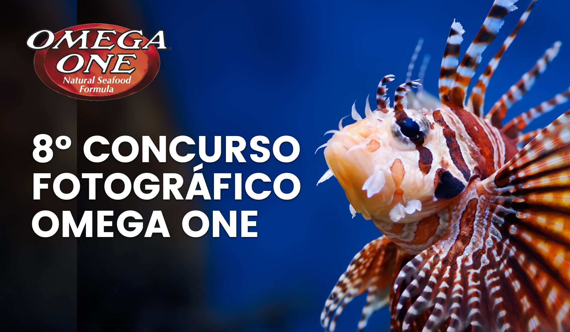 8º Concurso Fotográfico Omega One