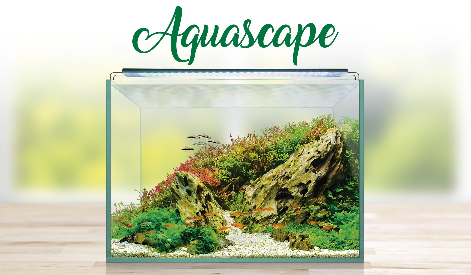 Nuevos acuarios Aquascape RGB