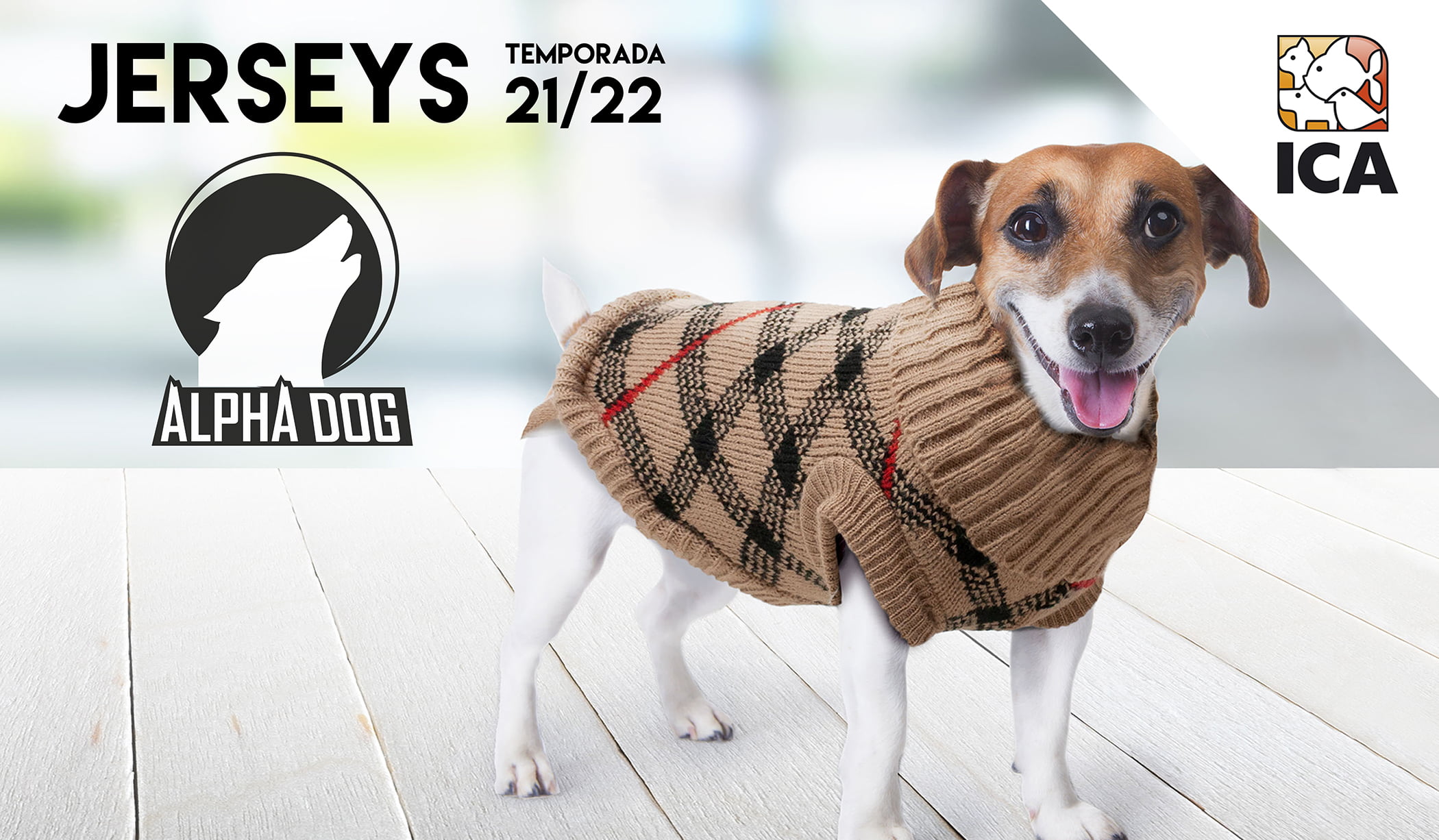 Jerseys ALPHA DOG Otoño-Invierno 21/22