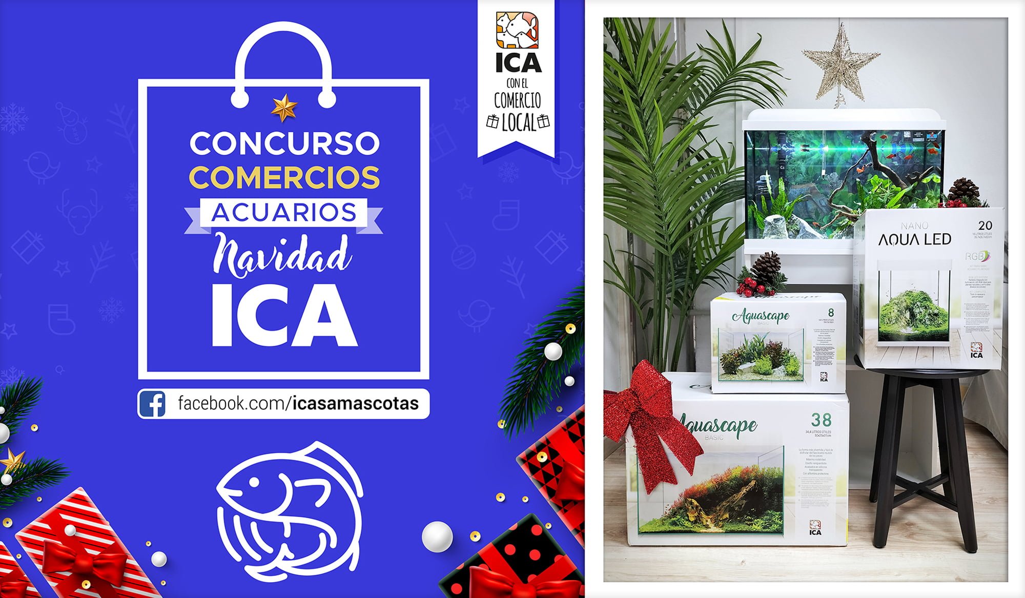 CONCURSO ACUARIOS ICA 2021