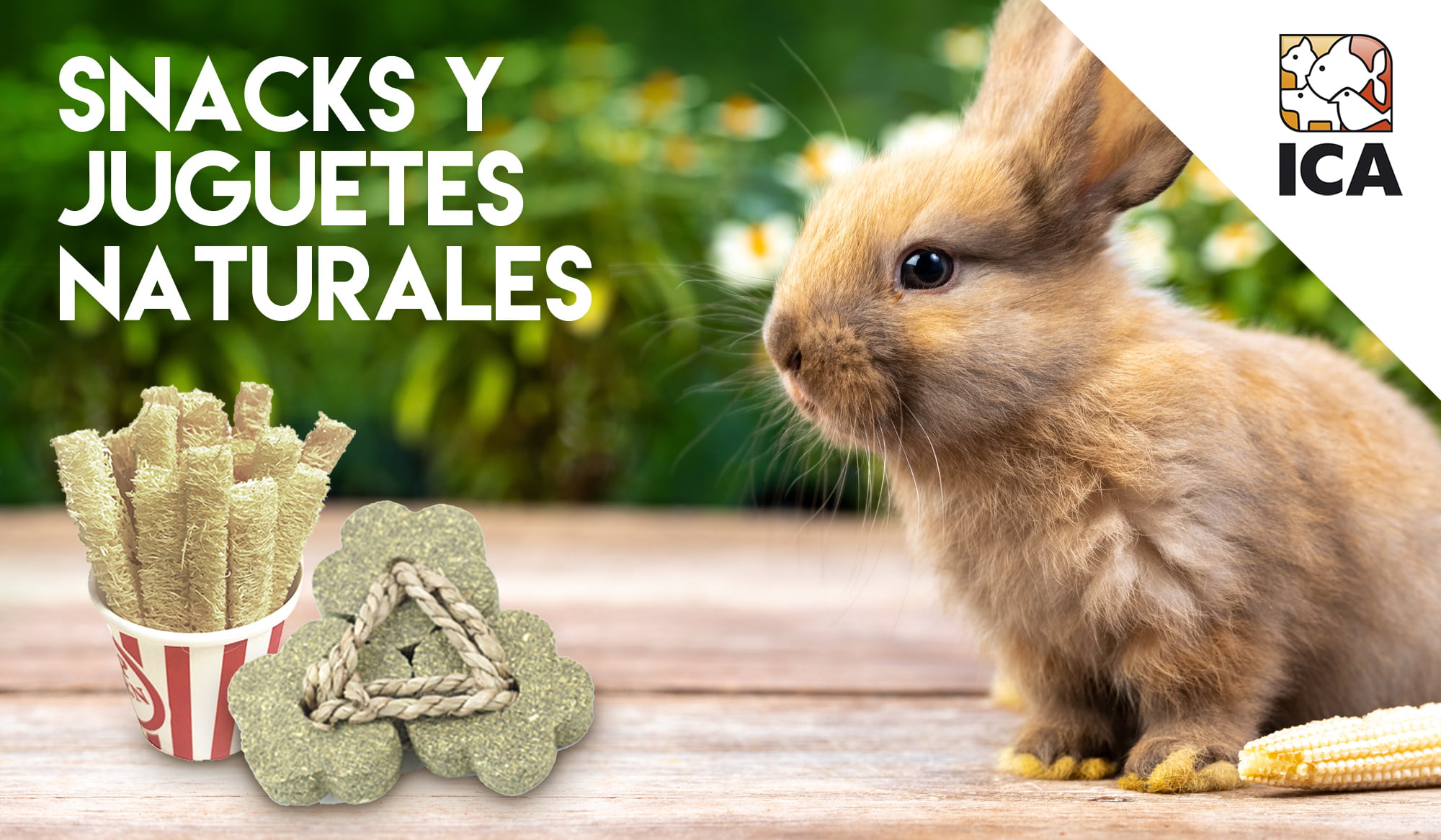 Snacks y juguetes naturales ICA