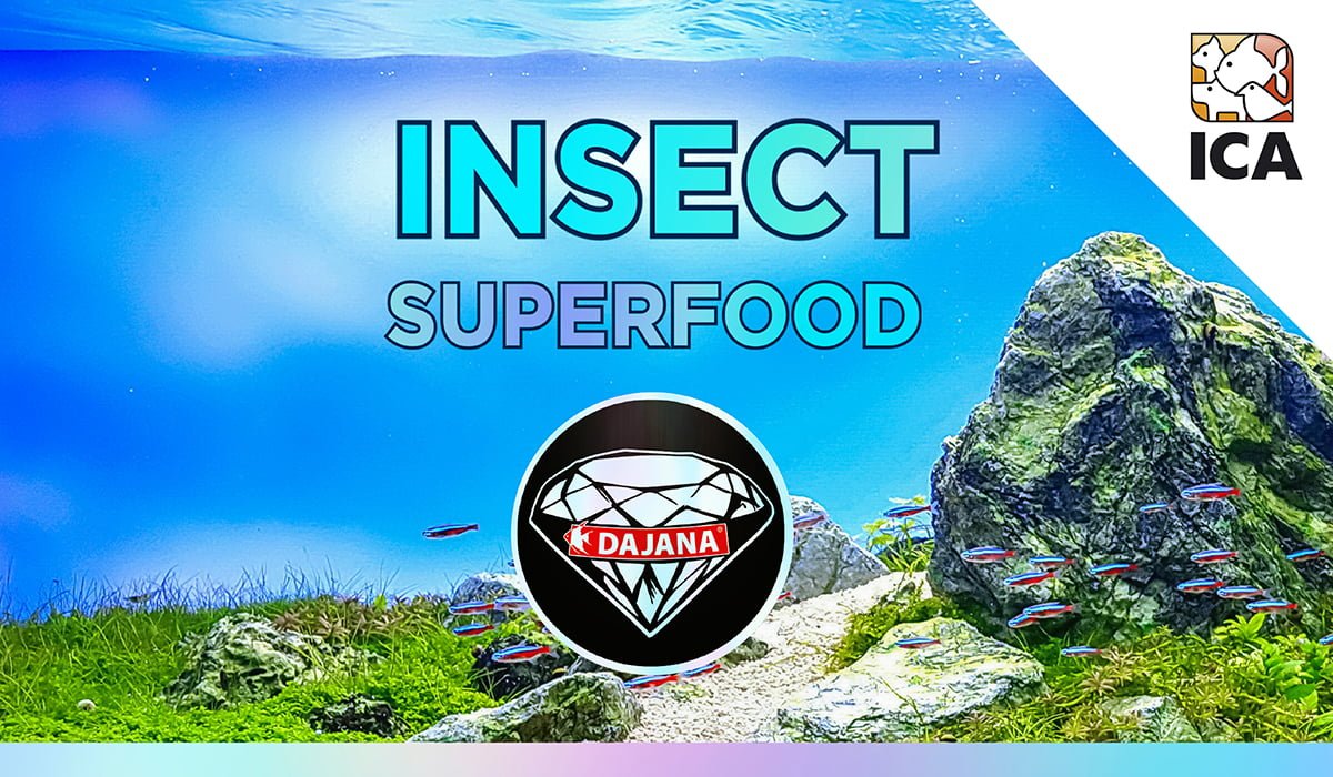 INSECT SUPERFOOD, ALIMENTOS PARA PECES